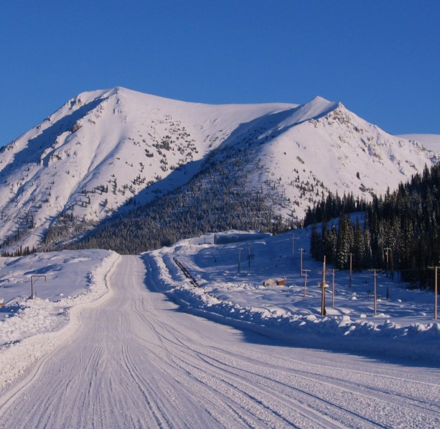 Snow covered and cold