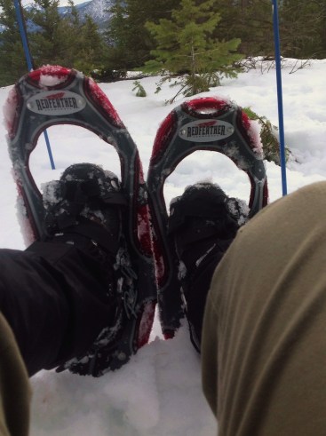 My head and ipad were at the base of the snag. Getting up was very comical!