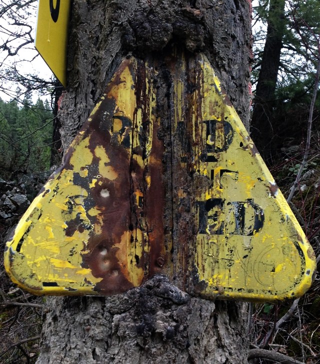Sign has become part of tree