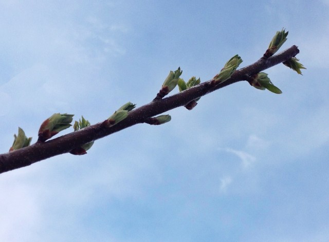 Almost .... Yeah Spring!