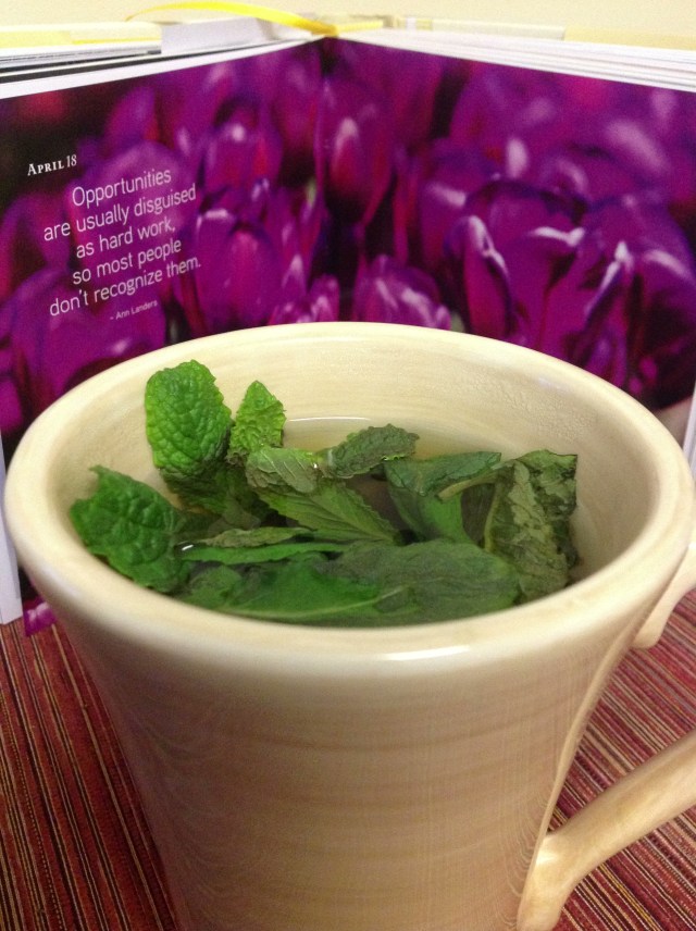 A new favorite - Mint tea 