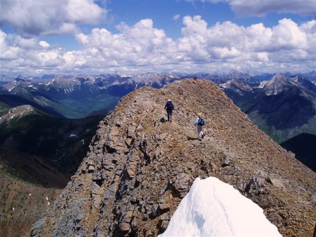 A journey taken one step at a time