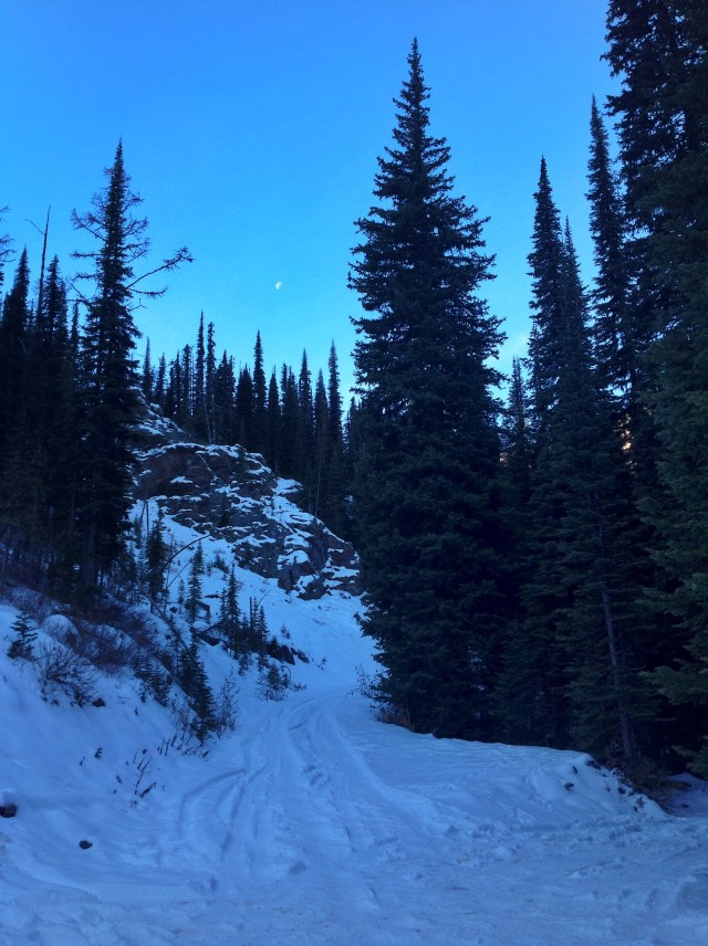 It was a beautiful bluebird sky!